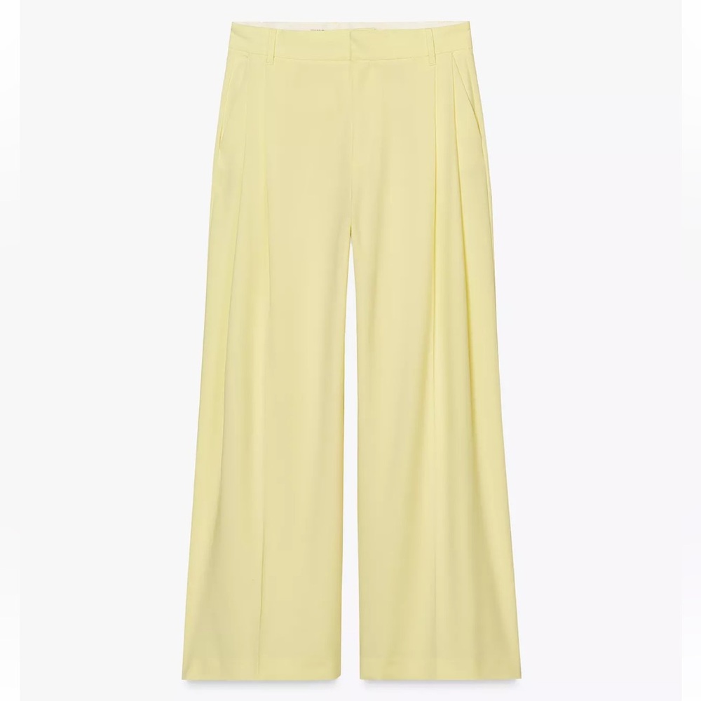 Zara Double Pleat Suit Pants